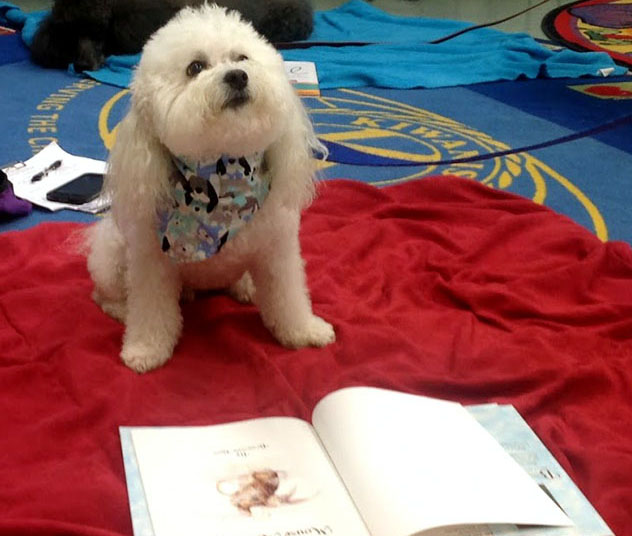 Pet Partners Read with Me
