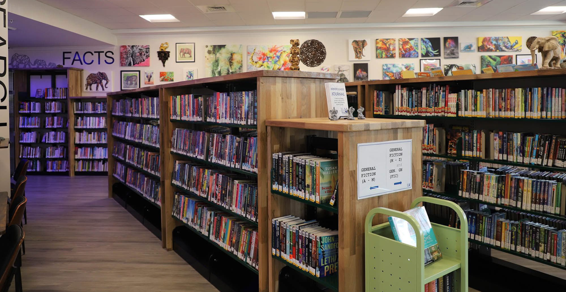 Brownsville Book Shelves